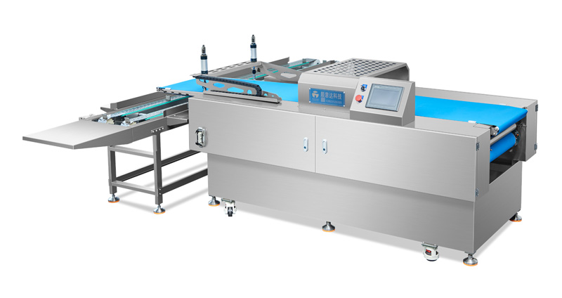 拖链款大型卧式排盘机